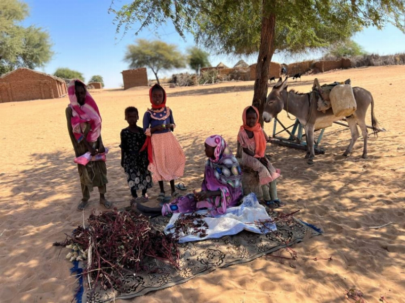 تحذيرات من توسع نطاق انعدام الأمن الغذائي في السودان