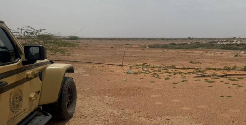 ضبط مواطن خالف نظام البيئة بالرعي في محمية الملك عبدالعزيز