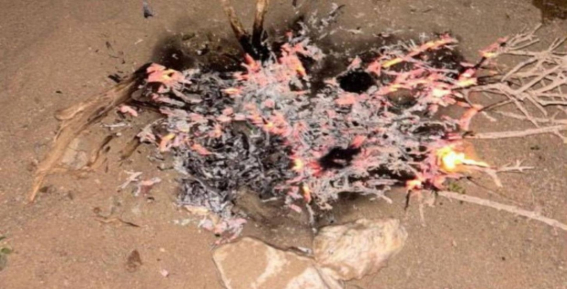 ضبط مخالف أشعل نارًا في مكان غير مخصصة لها بمحمية الأمير محمد بن سلمان