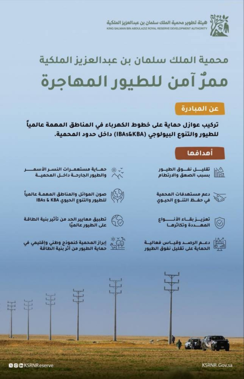 “محمية الملك سلمان”: تركيب عوازل على خطوط الكهرباء لحماية الطيور المهاجرة من الصعق