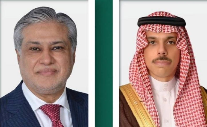 وزير الخارجية ونظيره الباكستاني يبحثان مستجدات التطورات الإقليمية
