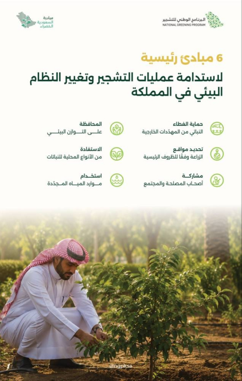 6 مبادئ رئيسة لاستدامة عمليات التشجير وتغيير النظام البيئي في المملكة