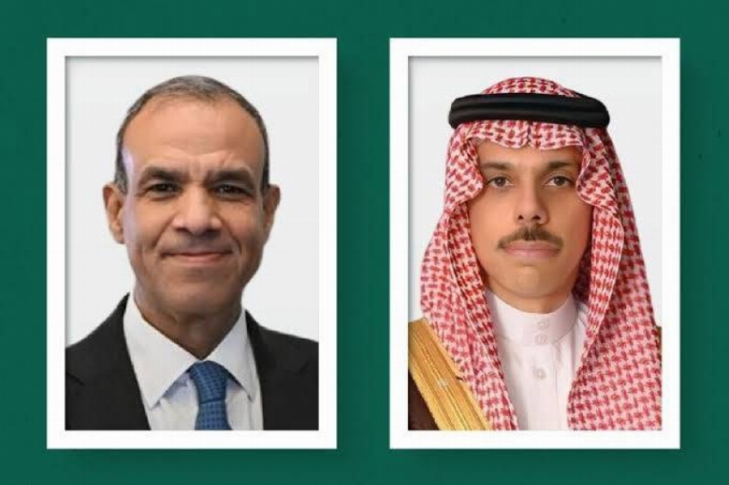 وزير الخارجية ونظيره المصري يبحثان التطورات في المنطقة
