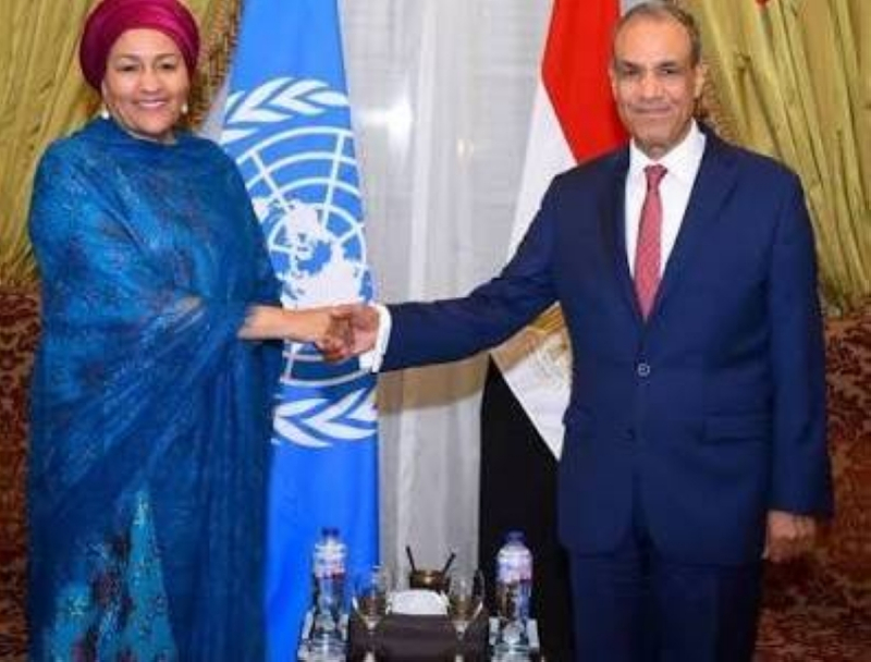 وزير الخارجية المصري يبحث مع مسؤولة أممية القضايا الإقليمية والدولية