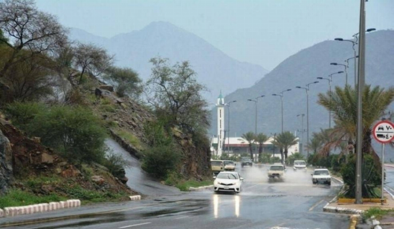 أمطار على منطقة الباحة – جريدة المدينة