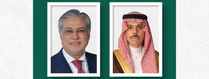 وزير الخارجية يتلقى اتصالًا هاتفيًا من نائب رئيس الوزراء وزير خارجية باكستان