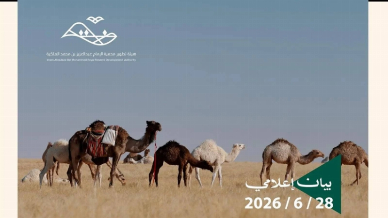 محمية الإمام عبدالعزيز بن محمد الملكية تؤكد أن الرعي الموسمي مخصص للمجتمع المحلي