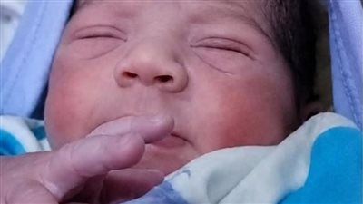 انخفاض غير مسبوق في المواليد.. هل تغيرت نظرة الأجيال الجديدة للزواج؟