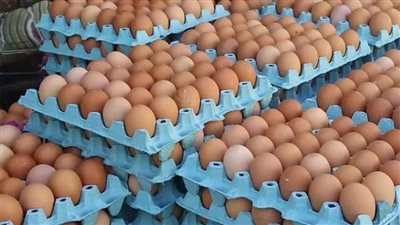 تجاوزنا الاكتفاء الذاتي بنسبة 40% ونبحث آليات التصدير