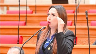 البرلمان يناقش شكاوى المواطنين من زيادة تكلفة الكهرباء للعدادات الكودية بعد طلب إحاطة نشوى الشريف