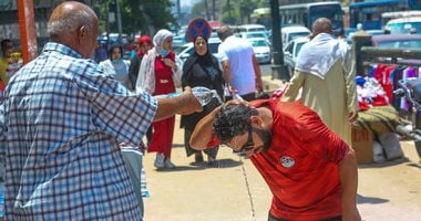 مصر تستقبل شهر أبيب الأربعاء.. وداعا لحجر العونة وأهلا بطباخ العنب