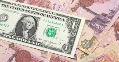 الدولار دون تغيير اليوم السبت.. تعرف على أحدث أسعار البنوك