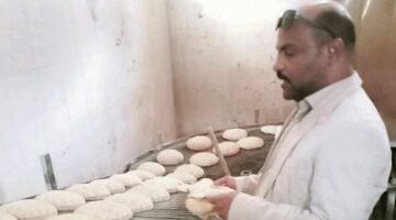 تموين المنوفية: تحرير 226 محضر مخالفات مخابز وأسواق وضبط نصف طن لحوم فاسدة