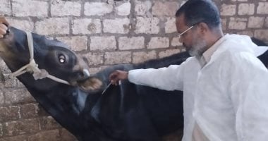 الحبس والغرامة عقوبة مزاول مهنة الطب البيطرى بالمخالفة للقانون