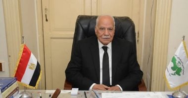 العربي الناصري: مشروع قانون إعادة تنظيم جهاز «مستقبل مصر» خطوة داعمة للتنمية