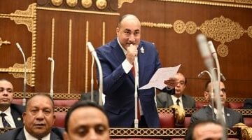 النائب عمرو رشاد: كلمة الرئيس السيسي جسدت رؤية الدولة لاستكمال مسيرة التنمية