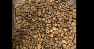 هل القهوة في مصر مغشوشة؟.. شعبة البن تحسم الجدل وتكشف الحقيقة