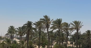 18 تجمعا تنمويا ومراكز خدمات زراعية ترسم ملامح “مستقبل أخضر” بأرض الفيروز