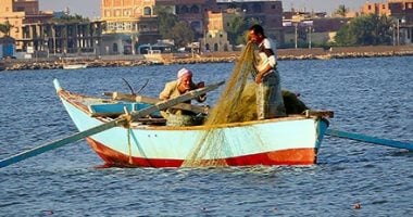 هل يجوز صيد أو جمع أو نقل زريعة الأسماك؟.. القانون يُجيب