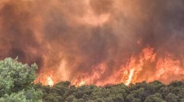 تونس والجزائر فى مواجهة ألسنة اللهب.. الحرائق تلتهم 44 مليون متربع مربع من الغابات التونسية.. نشوب 159 حريقا خلال 24 ساعة بالجزائر و296 فى تونس وجهود الإخماد متواصلة.. ودرجات حرارة قياسية وانقطاعات للكهرباء