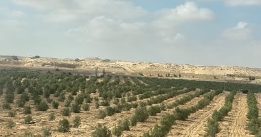 حالة الطقس فى شمال سيناء اليوم.. أجواء معتدلة واستقرار الأحوال الجوية