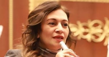 نفين فارس: تعديل قانون الأحوال الشخصية يجب أن يسبقه تقييم للأثر التشريعى