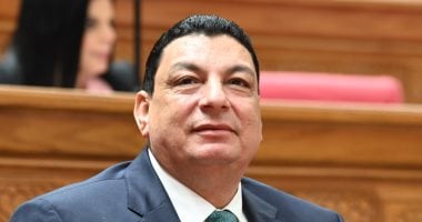 برلمانى: زيارة الرئيس السيسى إلى البحرين تجسد ثوابت مصر فى دعم الأمن العربى
