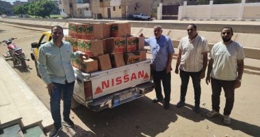 ضبط لحوم وأسماك فاسدة ودقيق مدعم في حملات تموينية بأسيوط