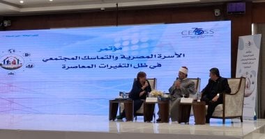 انطلاق جلسات اليوم الثانى لمؤتمر «الأسرة المصرية والتماسك المجتمعى»