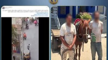 ضبط سائق عربة كارو للسير عكس الاتجاه والتعدى على شخص.. فيديو