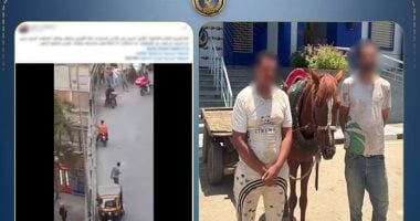 ضبط سائق عربة كارو للسير عكس الاتجاه والتعدى على شخص.. فيديو