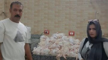 تموين المنوفية: تحرير 354 محضرا وضبط كميات لحوم فاسدة فى حملات على الأسواق