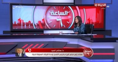 مساعد رئيس مجلس الوزراء: قيد 20 شركة مملوكة للدولة بالبورصة
