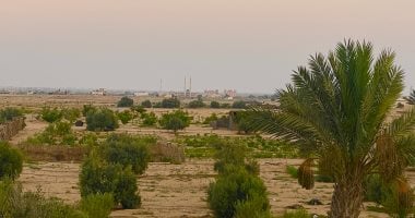أجواء معتدلة بشمال سيناء اليوم الاثنين.. الحرارة 32 درجة بوسط المحافظة