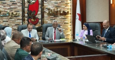 محافظة سوهاج تستعرض تجربتها لدمج ذوي الإعاقة بجائزة مصر للتميز الحكومي