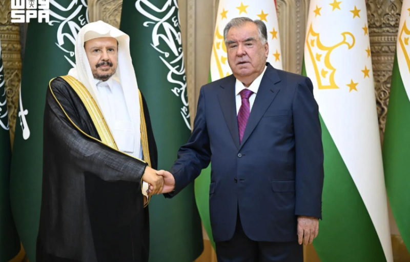 رئيس طاجيكستان يستقبل رئيس مجلس الشورى