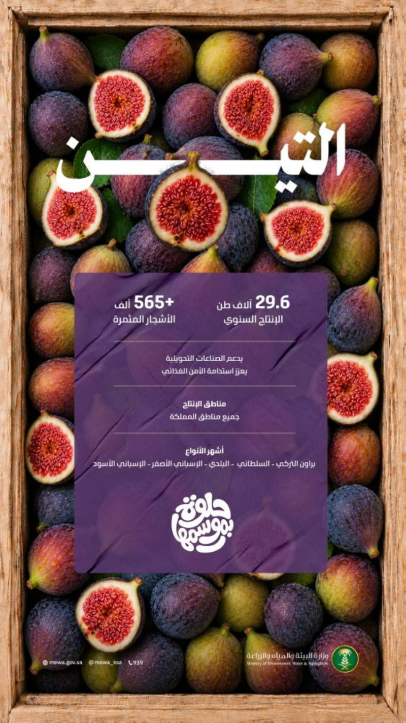 “التين” يُنعش الأسواق بإنتاج نحو 30 ألف طن