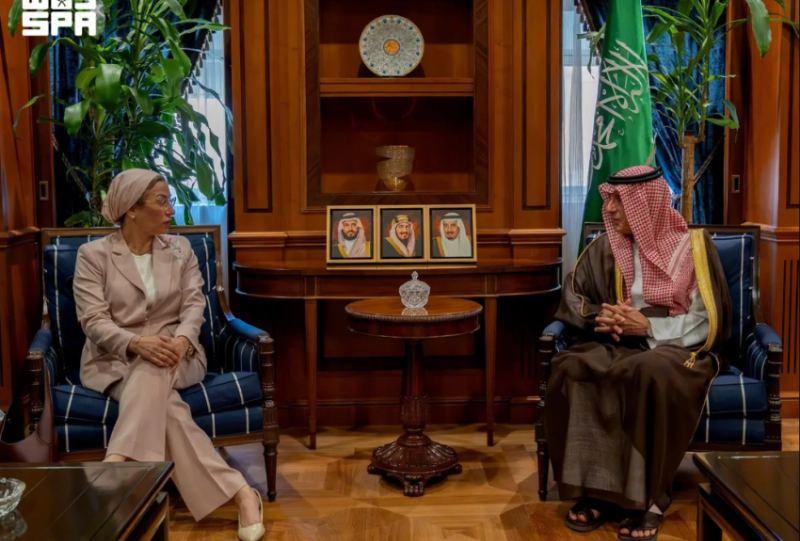 وزير الدولة للشؤون الخارجية يستقبل الأمينة التنفيذية لاتفاقية الأمم المتحدة لمكافحة التصحر