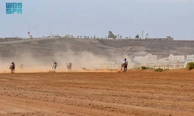 فروسية الباحة: بدء التسجيل في برنامج السباقات الموسمية للعام الحالي