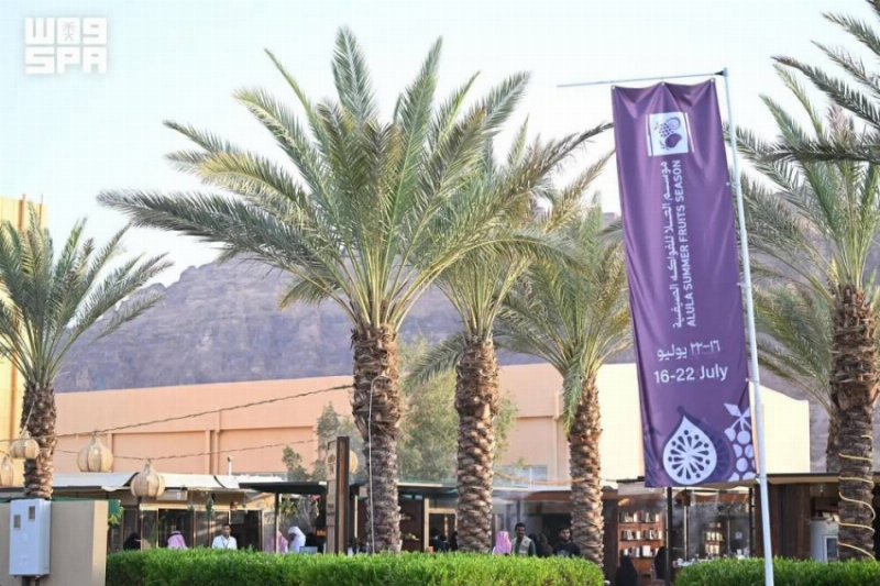 موسم الفواكه الصيفية بالعُلا يفتح فرصًا للمزارعين وروّاد الأعمال