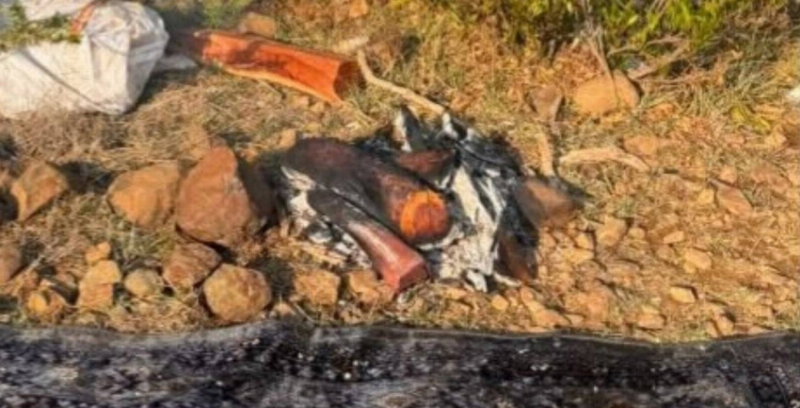 القوات الخاصة للأمن البيئي تضبط مخالفًا في محمية الإمام فيصل بن تركي