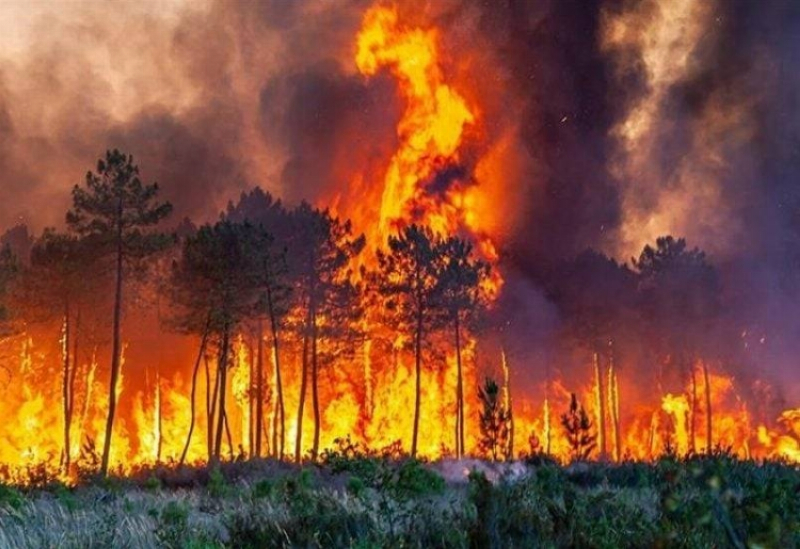 إسبانيا.. إجلاء سكان 12 قرية بسبب حريق غابات كبير في فيرموسيلي