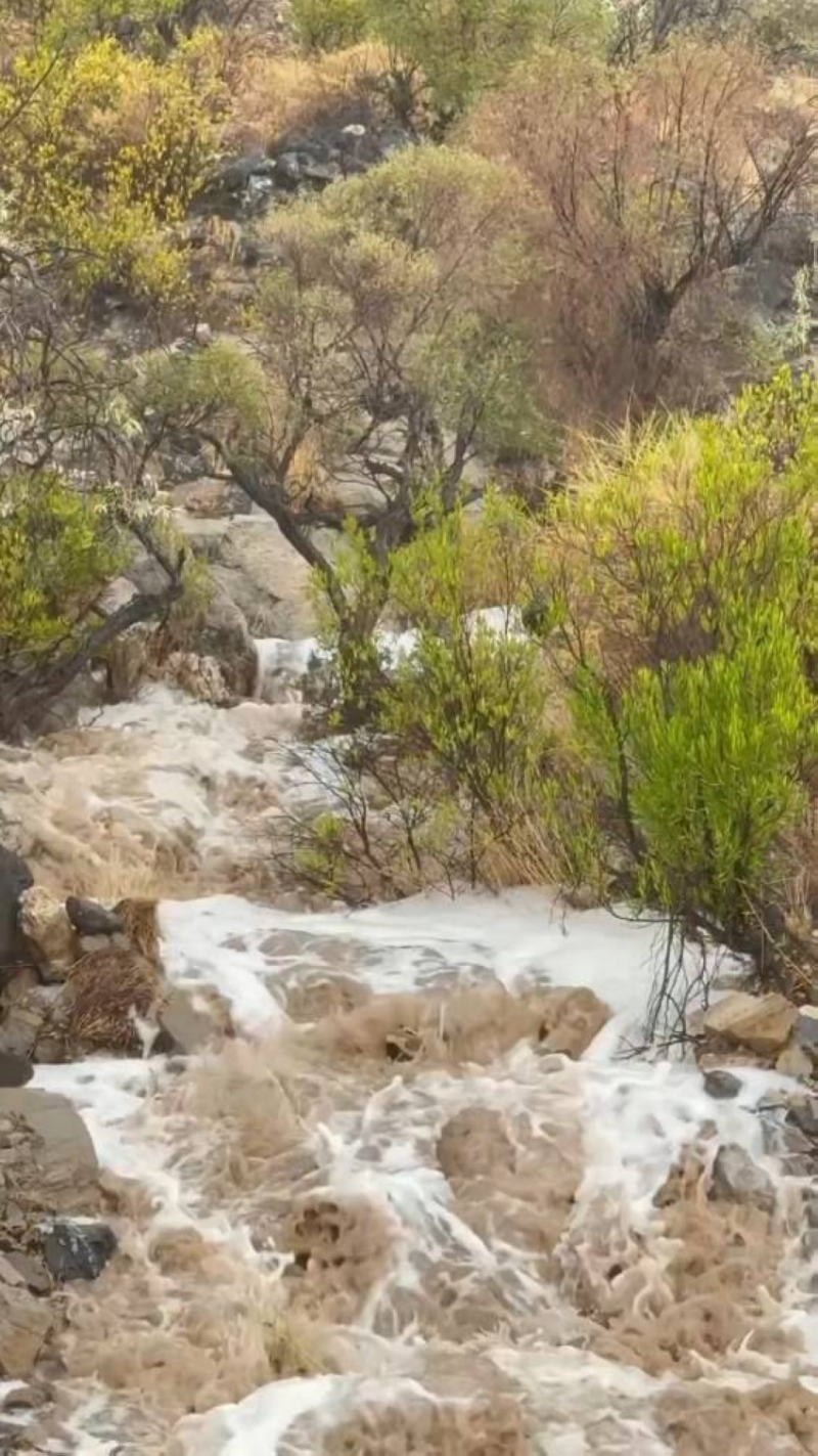 أمطار على ميسان – جريدة المدينة