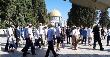 مقررة أممية تحذر من تهجير سكان الضفة الغربية قسرًا