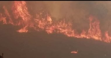 حرائق الجزائر.. إخماد 110 حرائق واستمرار 64 حريقا فى عدة ولايات «فيديو»