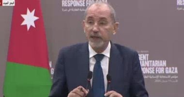 وزيرا خارجية الأردن والصين يؤكدان أهمية تعزيز الأمن والاستقرار بالمنطقة