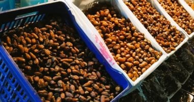 مهرجان بريدة للتمور يستقبل أكثر من 100 صنف من التمور يوميًا