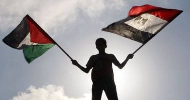 بيان مصري عربي إسلامي يدين رفض إسرائيل لخطة ترامب في قطاع غزة