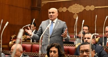 النائب شعبان رأفت: القاهرة تعاملت مع أزمة غزة باعتبارها مسؤولية قومية وإنسانية