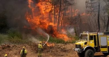 رئيس وزراء الجزائر يتفقد بالطائرة المروحية المناطق المتضررة من الحرائق